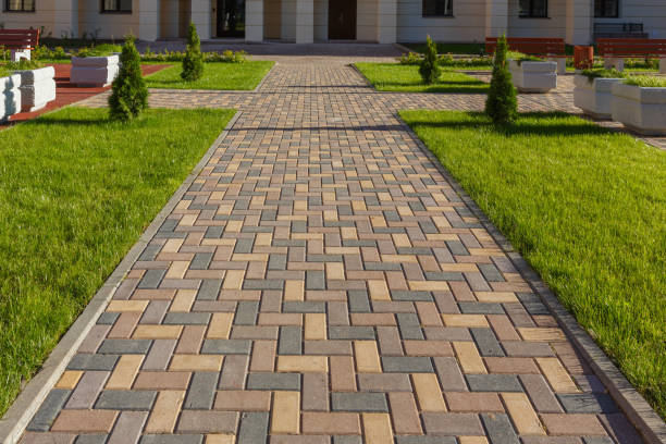 Reasons to Select Us for Your Driveway Paving Requirements in Pigeon, MI